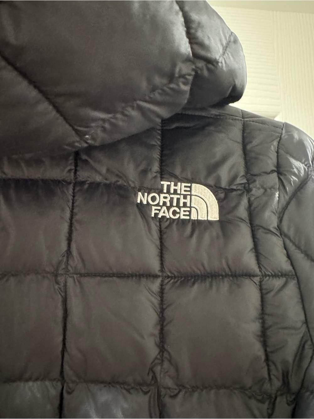 Kids The North Face TNF Black Thermoball Hooded Jacket (Size L-12) - Picture 4 of 7
